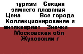 туризм : Секция зимнего плавания › Цена ­ 190 - Все города Коллекционирование и антиквариат » Значки   . Московская обл.,Жуковский г.